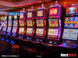 8855bet|Vale a pena bingo online para brasileiros Explore Hoje